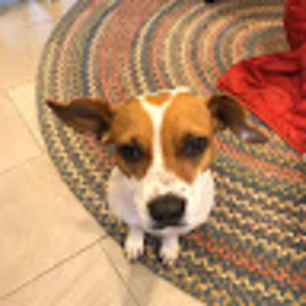 Meet your Posher, Kathryn